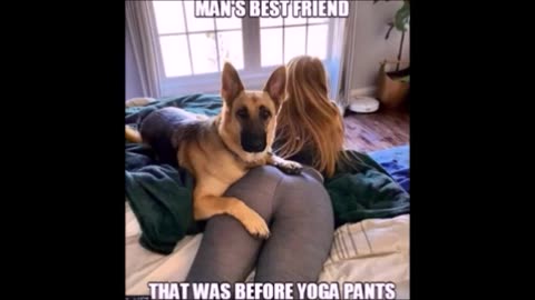 31625 Funny Laugh Out Loud Hilarious Memes Jokes Cartoons