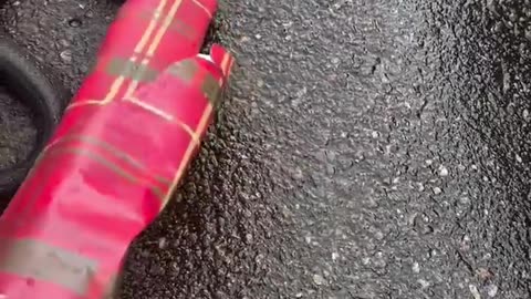 😱🐍 Helping a Snake Cross the Road Goes Terribly Wrong! | FunFM