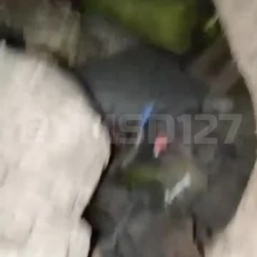 Ukraine Russia war combat/related footage 12/7/2025