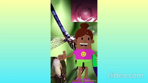 os animais completos