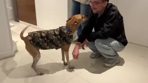 Owner and Pup Reunited After Two Years