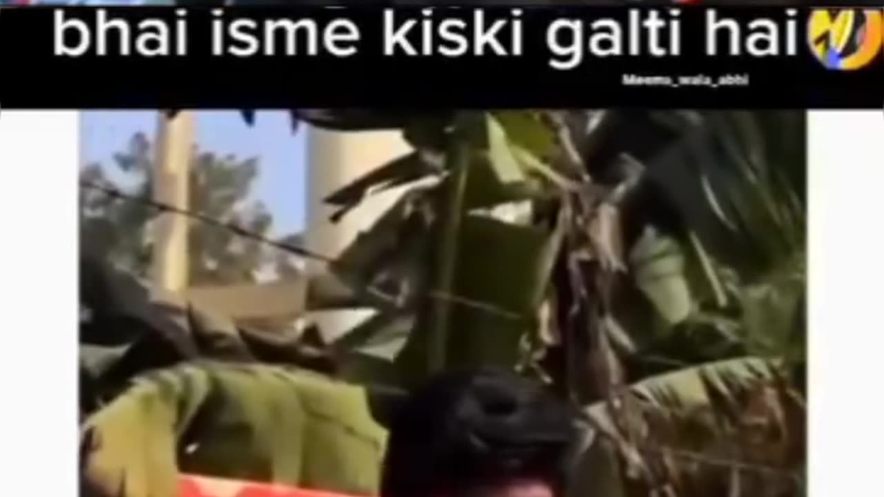 Funny video