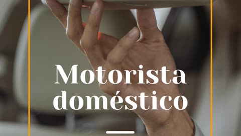Motorista Doméstico