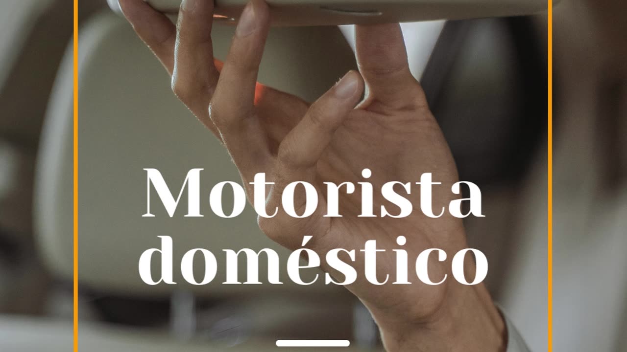 Motorista Doméstico