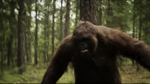 Bigfoot vs Yeti: The Ultimate Prank War 😂 (Gone Wrong!)