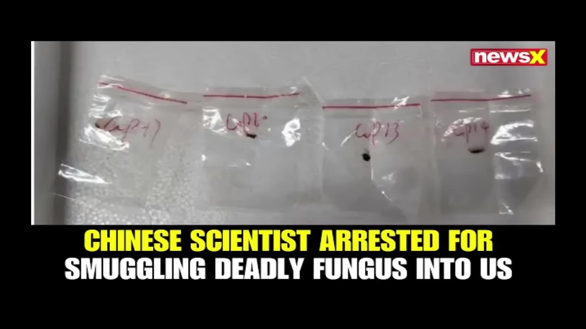 Strange Video That Exposes Something Massive