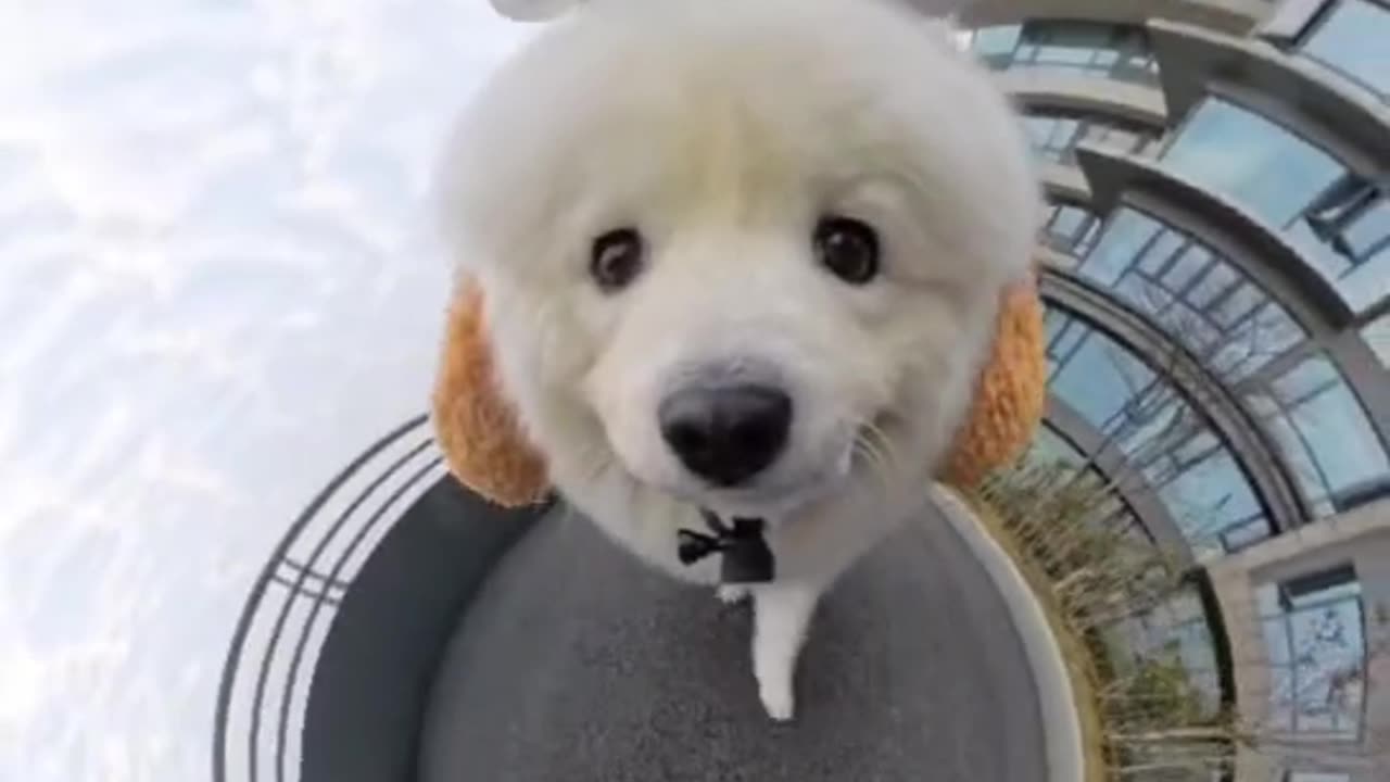 Goodbye, I'm going home for dinner