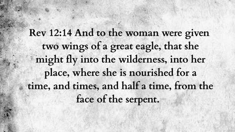 Martus Ministry -278- Mouth no guile