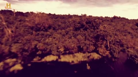 NA TROPIE GIGANTÓW 4 dokument pl