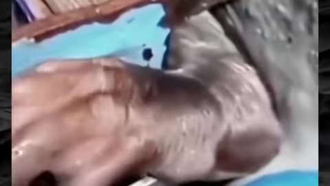 😱👻 You Won't Believe What They Caught on Camera! Creepy Paranormal Videos | TheHauntingHour