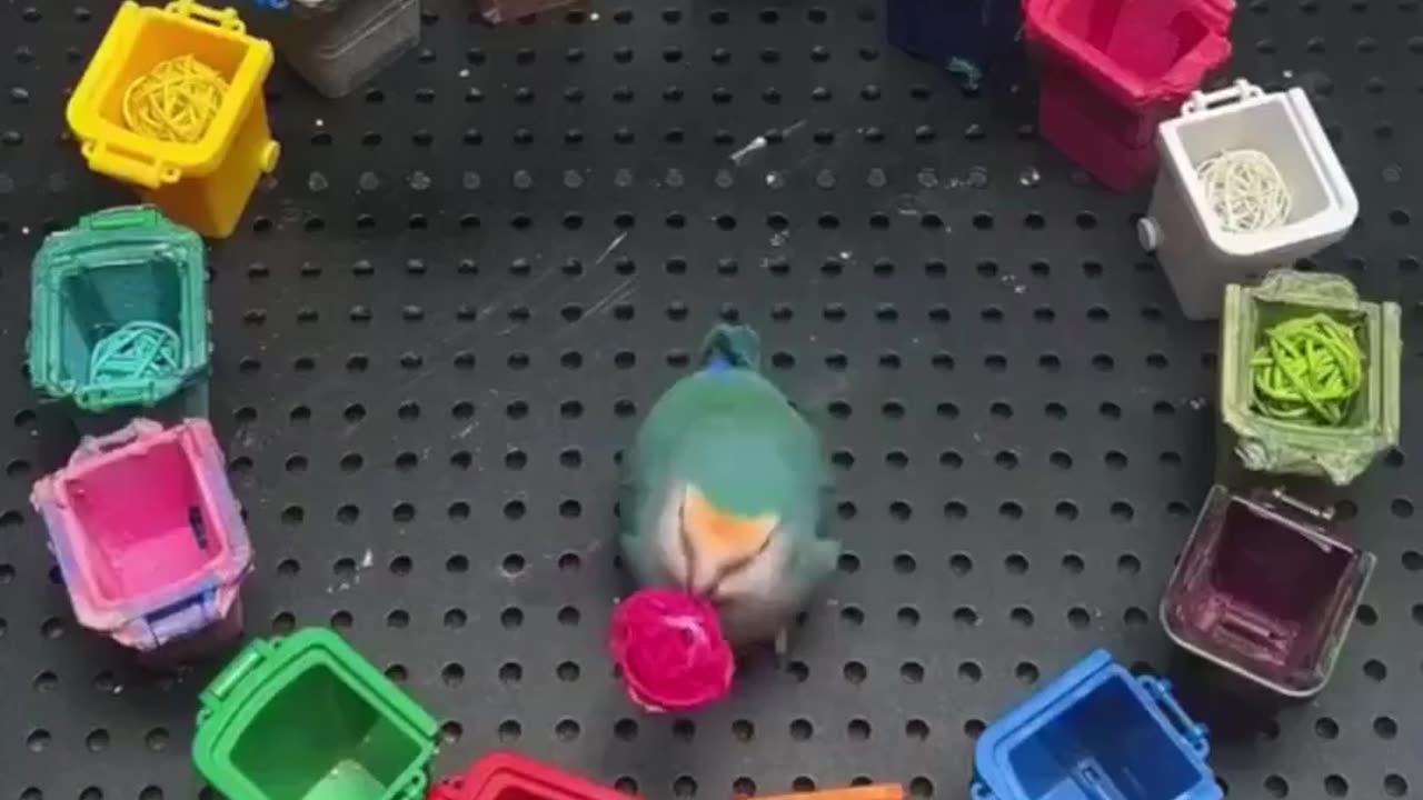 Intelligent parrot