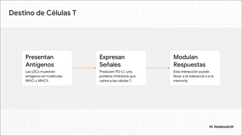 El Sistema Linfático
