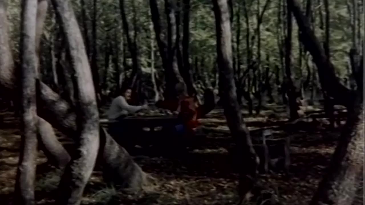 Ayrılık Acısı