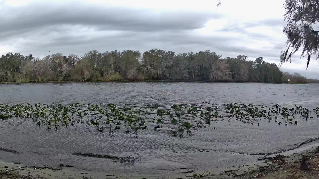 Riverview Time-Lapse: St. John’s Tranquil Tides (Jan 18, 2026)