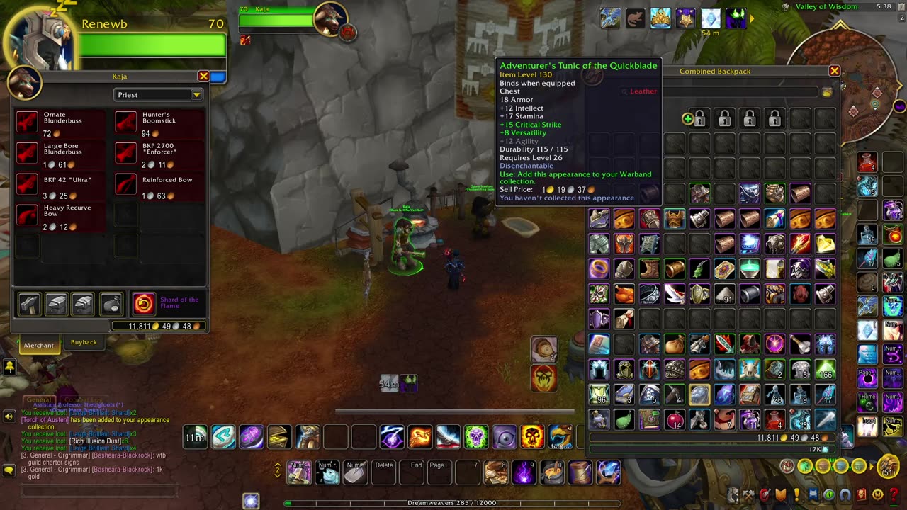 wowcraft in 2025 p28 - shadow priest soloing molten core then blackwing lair and hunter finds out wh