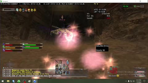 Playing Final Fantasy XI Online