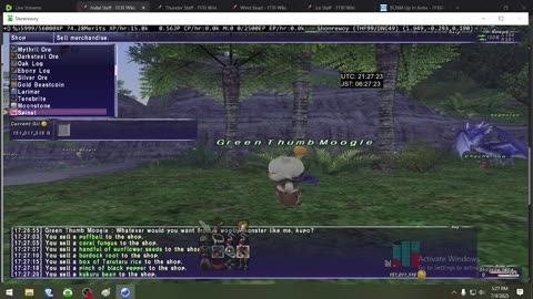 Playing Final Fantasy XI Online
