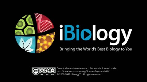 Amazing Rendering Visuals in Multi-Dimensional Microscopy Datasets - Loic Royer CZ Biohub