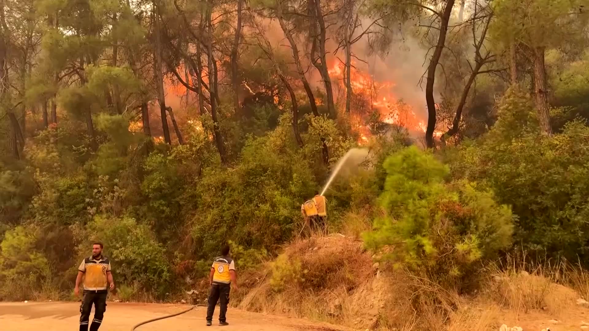 Syrias White Helmets battle wildfires in Latakia countryside