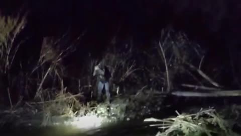 Dog and Officer Fight Through Swamp to Track Down Suspect Fleeing Police