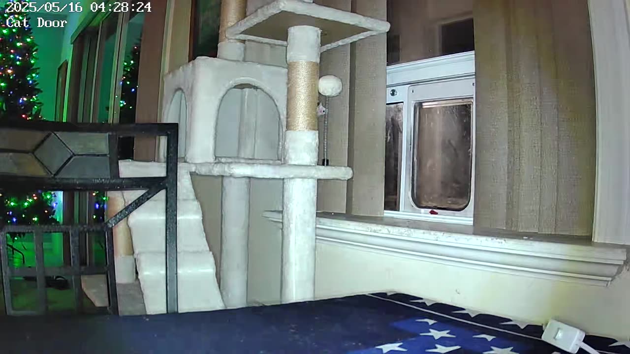 Going out 5 16 25 unwanted visitors