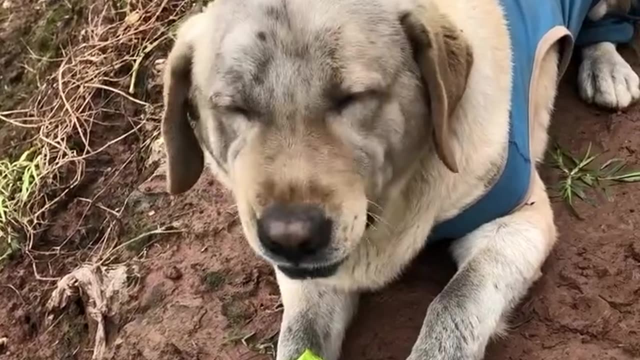 Delicious fresh vegetables 😊