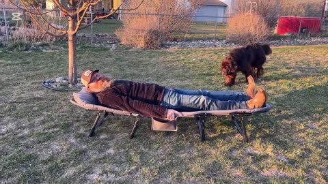Premium Foldable Camping Cots for Adults Portable Folding Bed check description to buy