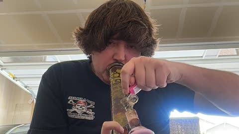 Day 515 I picked up my cat and instantly got hairy lmao