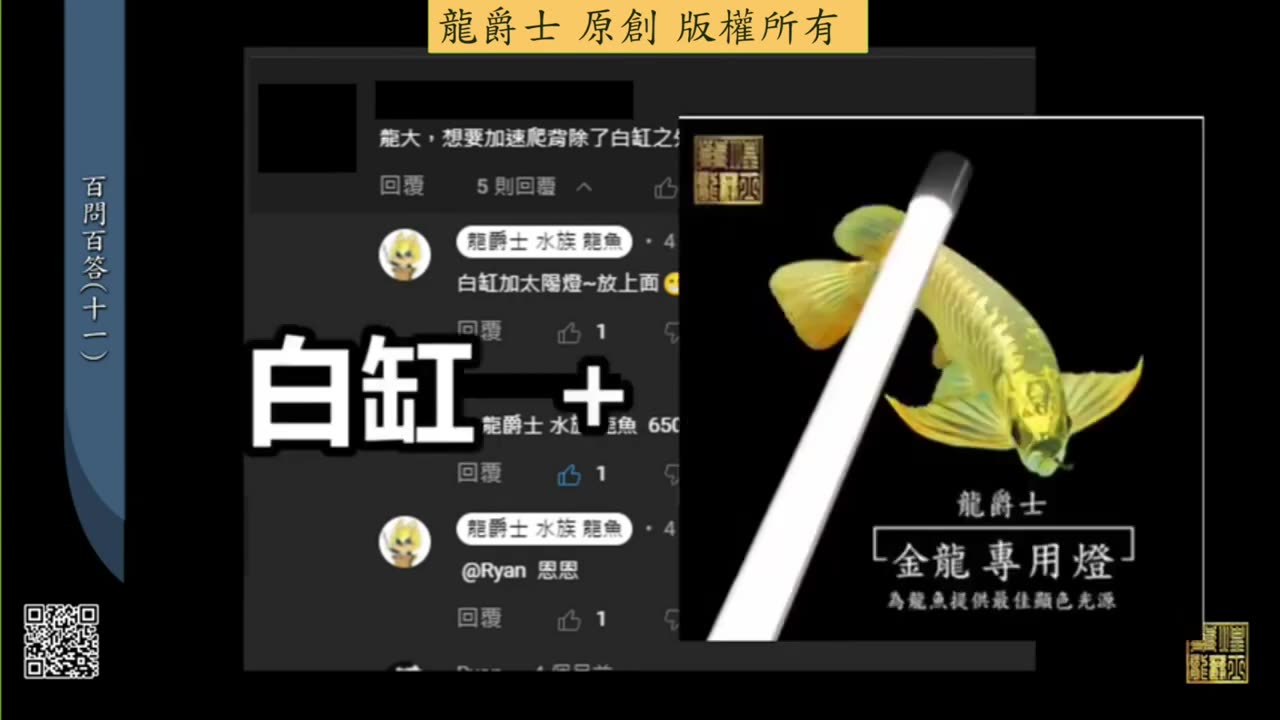 【龍爵士】千問千答 Q112 加速爬背除了白缸外搭備側燈還是頂燈或是兩者兼具