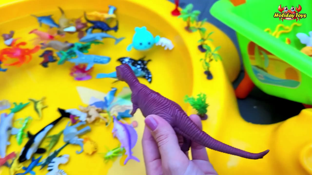 Seahorses Seek Calm Waves to Care for Young