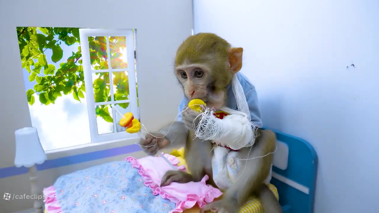 The playful monkey kid