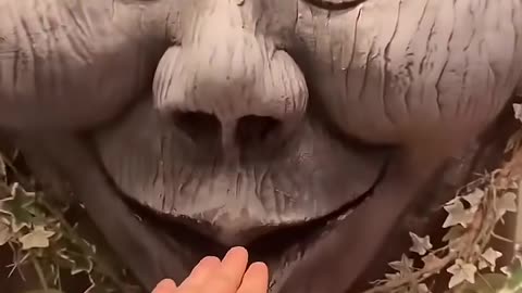 Scary Tree Bit me