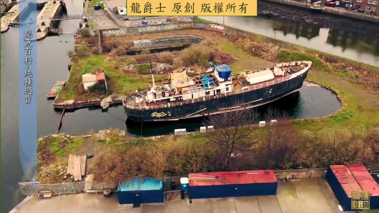 【龍爵士】龍魚百科 純種與改良