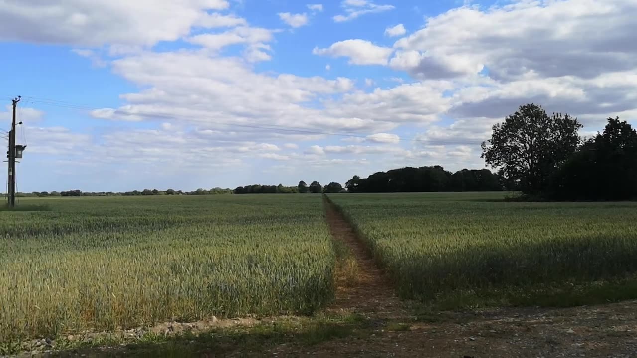 You WILL 666 Be Terminated 4