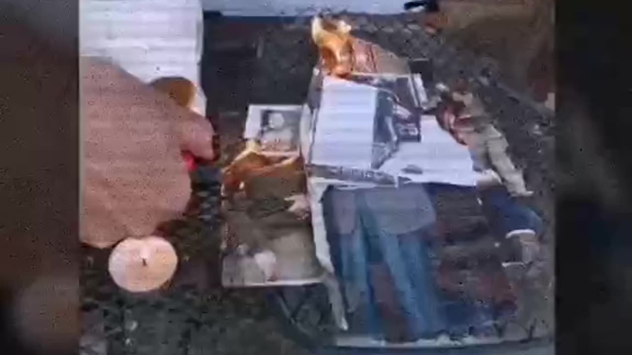 Tim Rifat TikTok Videos