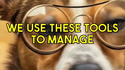 Pet Gadgets 2023 What Do They Say About Us
