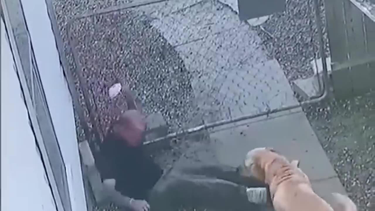 Big Fails Funny