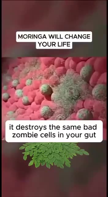 FUCK BIG PHARMA 💥MORINGA💥