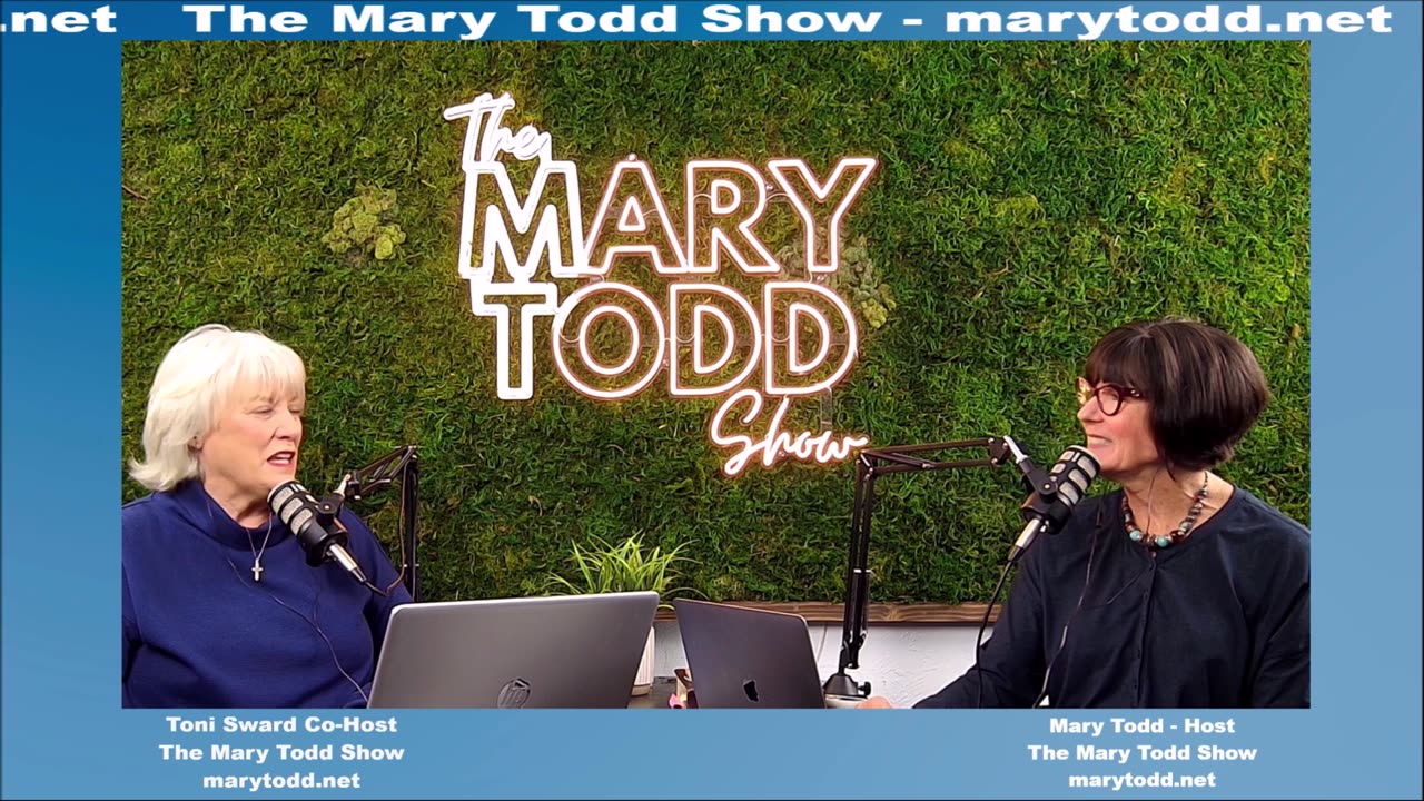 The Mary Todd Show - It's Called Domestic Terrorism