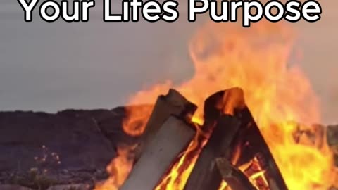 The One Thing That Makes Life Clear, Fulfilling, and Resilient