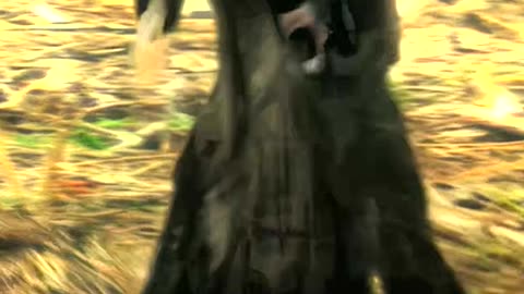 S.T.A.L.K.E.R