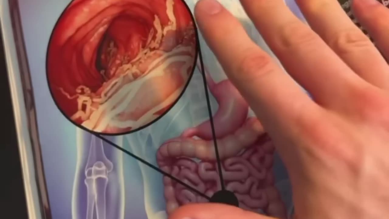 Book of Wisdom PDF - by Harry B. Joseph - Revival of Wisdom Free PDF Download Volume 1 and 2