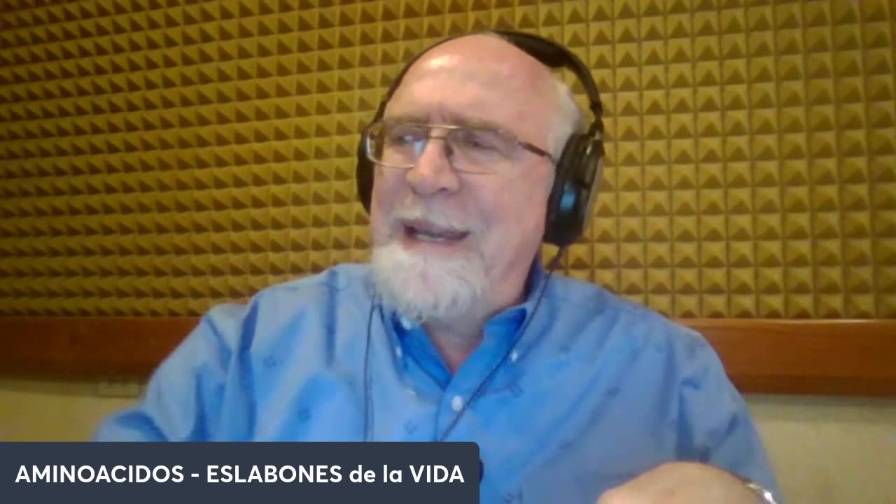 Los Aminoácidos