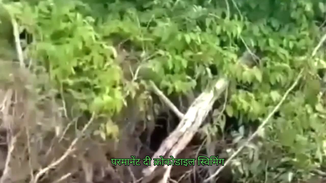 Power and dominance are never permanent