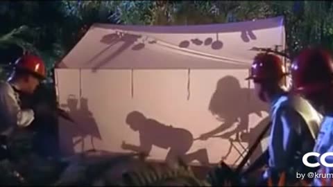 Shadow Illusion