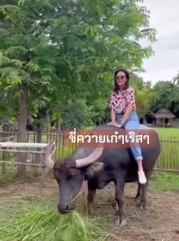 #BlankTheSeries #Faye #Yoko #FayeMalisorn #Entertainment #funny #comedy #viral #Shorts #Trend