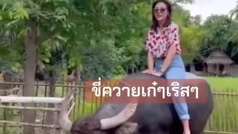 #BlankTheSeries #Faye #Yoko #FayeMalisorn #Entertainment #funny #comedy #viral #Shorts #Trend