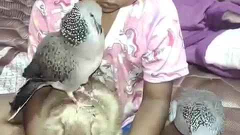 Funny videos of kids
