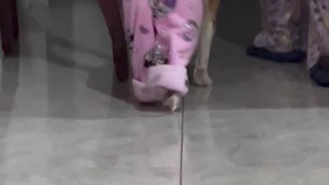 Dog and Owner Have a PJ Party