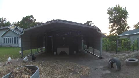 One Last Snack And Dance!